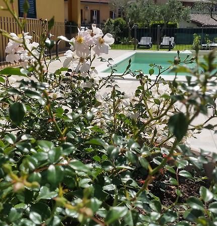 Residenza Cieloterra Guest House Rivotorto Exterior photo
