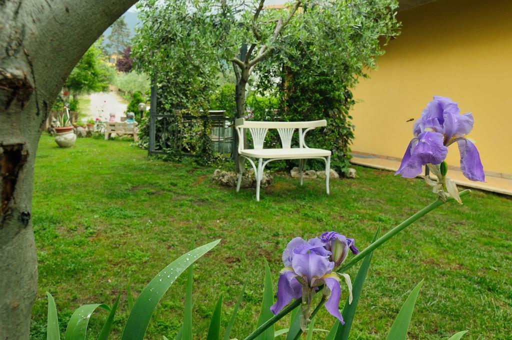 Residenza Cieloterra Guest House Rivotorto Exterior photo